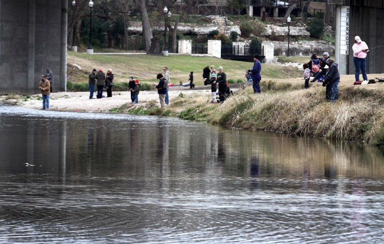Family Fishing Day at Nolan Creek